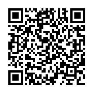 税务等部门做好税务和食品安全卫生检查和登记便可二维码生成