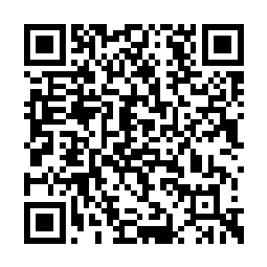 稚嫩的童音让萧韵儿紧张的心稍稍得到了点安慰二维码生成