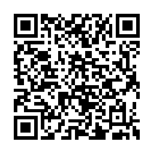 穆之霞声称她组建的英仙王庭有可能统一野人洲二维码生成