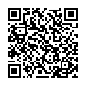 穆天阳是在言左左和池墨卿到家以后才接到消息的二维码生成