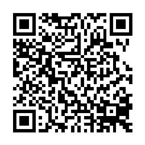 穆扬灵与小夏氏带着一群孩子和齐浩然范子衿分开往皇后宫中去二维码生成