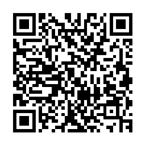 穆扬灵干脆也在军营里跟着四盘村的村民学习玉米的各种习性二维码生成