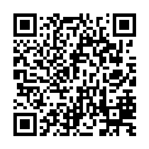 穆扬灵正高兴齐浩然听了她的建议上表废除藩王制二维码生成