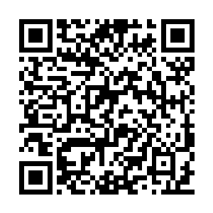 穆扬灵立即掰着手指头算宝珠和小福的血缘关系二维码生成