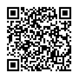 穆扬灵见到的就是一个捧着书做沉思状的齐浩然二维码生成