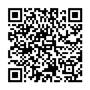 穆扬灵让守在门外的立春去厨房拿些汤水和食物来给齐浩然二维码生成
