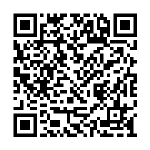 穆无道可不认为白菜对上青莲公主能够获得胜利二维码生成