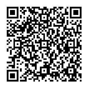 穆根和奥利维亚严重怀疑正是因为西瑟先生每天都要喂食幼崽才把那些生物搞成濒危的orz二维码生成