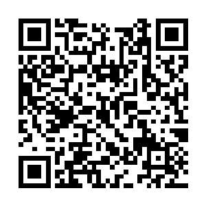 穆根和西格玛居然还连夜改制了一把萌萌专用雨伞二维码生成