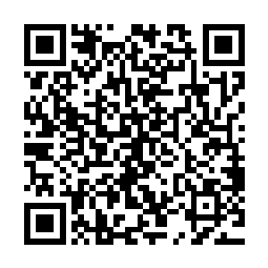穆根立刻知道西格玛一定是用自己的收藏品交换了那块法比亚二维码生成