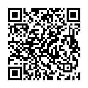 穆根被欺负了――忘了主动冲出去挑衅的人正是穆根本人二维码生成