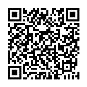 穆根跑到外面的街道上开始挨个通知爱多里商业街的邻居二维码生成