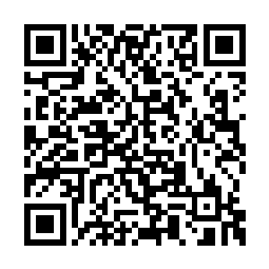 穆根迅速通知家中的机器人照奥利维亚说的去做二维码生成