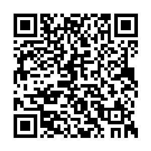 穆根还将萌萌身体的内部一角增加了一个小厨房二维码生成