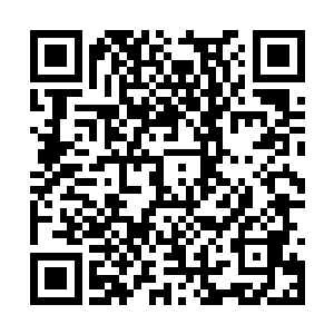 穆根这边的消息很多都是阿尔法通知附近的机器人二维码生成
