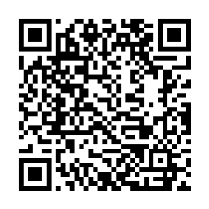 穆石又在里头选了六个人出来跟着穆扬灵往牵头侦查二维码生成