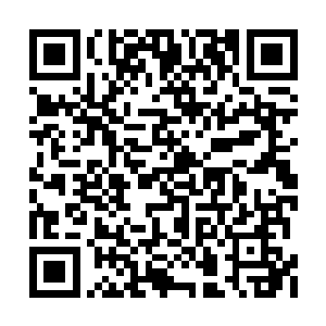 穆老前辈和海师兄全都把符纸贴在了指定的地方二维码生成