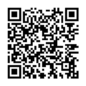 穆雷长老也只是比追杀他的那个骑士强上那么一丝而已二维码生成