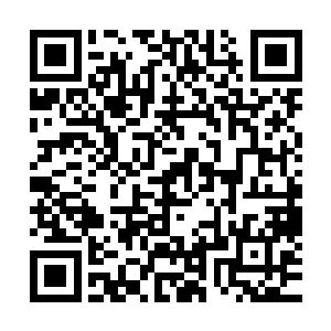 究竟哪里惹到这个在原剧情中如同神祗般受人尊崇的大能者的二维码生成