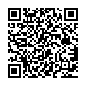 究竟是什么人让自己那眼高于顶的表姐这么念念不忘二维码生成