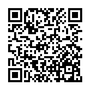 究竟是你在暂代山主的职权还是两位姑姑在暂代二维码生成