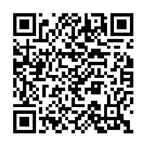 究竟要怎样才能在两头怪物的对决中逃出生天呢二维码生成