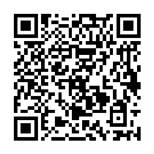 究竟该如何面对这头被他亲手释放出来的黑暗凶兽二维码生成