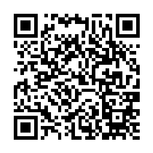 穷一生之力能够开发出一个新品种就已经很了不起了二维码生成