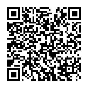 空中三十多个只有指甲盖大小的灵草精粹如同盘子当中放着的珍珠一般二维码生成