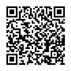 空中的黑衣人直接被那恐怖的风暴直接撕成碎片二维码生成