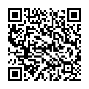 空中通道也挤满了各种各样稀奇古怪的小型飞行器二维码生成