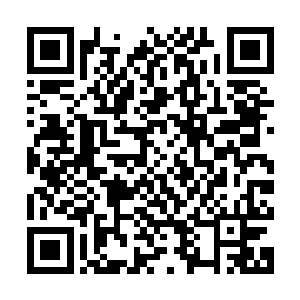 空军已经决定从沈阳的兄弟飞机制造公司采购一千架新式战斗机二维码生成