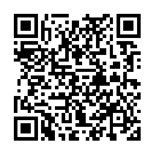 空地上凯家族的成员每一个都有不弱于小凯的实力二维码生成