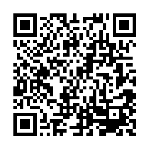空旷的荒野上这稀少的目标应该不会成为攻击点二维码生成