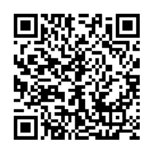 空葬之棺之中的道道符文汇聚成了一点光芒瞬间射入我的眉心二维码生成