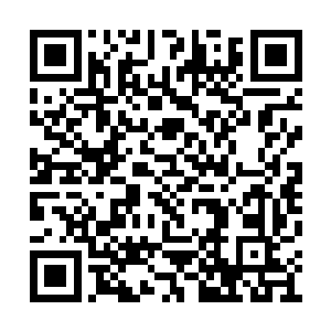 空闲的手却是有一下每一下的挠一挠妮娜的后背二维码生成
