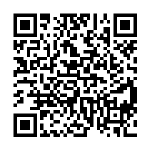 空间里似乎在这一刻连里面的光线都透出一股子生命之力二维码生成