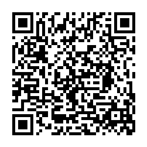 穿一袭玉兰色纱缎宫装的王云桐带着她院里的几个小丫鬟正朝他这边缓缓走来二维码生成