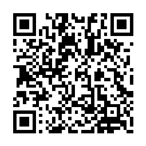 穿在吴露梦身上的婚纱突然刷的一下子尽数滑落二维码生成