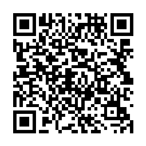 穿在里层的游戏服装倒是在系统的保护下几近完好二维码生成