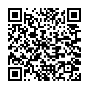 穿沙甲两位老长老和曾最强战士全都拦在了妙香前面二维码生成