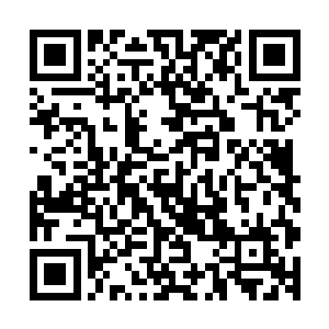 穿的衣服都可以感谢这一时期数以万亿计的对生物技术的投资二维码生成