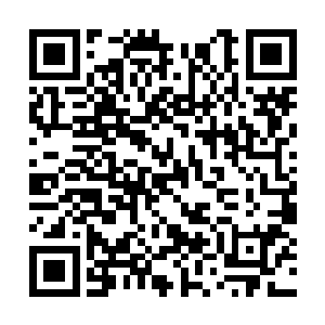 穿着一袭崭新杏色锦袍的陈元青出现在许瑾瑜面前二维码生成