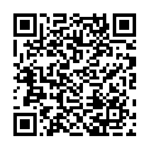 穿着一身狐裘的洪玉昆带着两个龙皇阁的两个侍女打着伞二维码生成