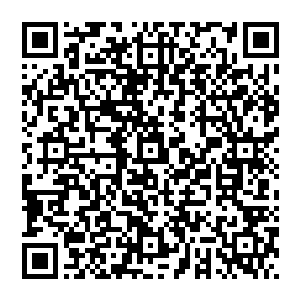 穿着一身青色长袍身材消瘦的说书先生一出现在饭厅的那个只放了一张桌子的表演台上一撩长袍坐下二维码生成