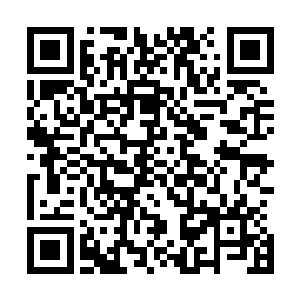 穿着正式的乐团成员正在精心的演奏着人们耳熟能详的舞曲二维码生成