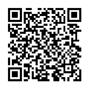 穿着防护服趴在石缝边缘两眼一瞬不瞬地盯着空中的机甲二维码生成