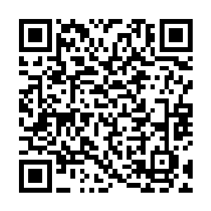 穿越前大概也就是适婚年龄……不过她的经历比较特殊二维码生成