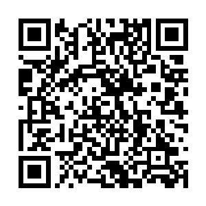 穿过小树林的湖岸边可以看到不少大大小小的石块二维码生成
