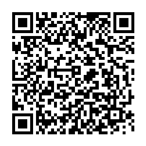 穿过试练场结界的时候所有人都会被随机传送分散到整个试练场各处二维码生成